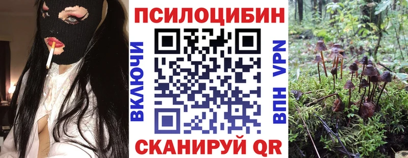 Галлюциногенные грибы мухоморы Новохопёрск